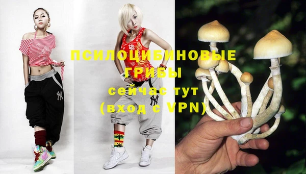 мет Аркадак